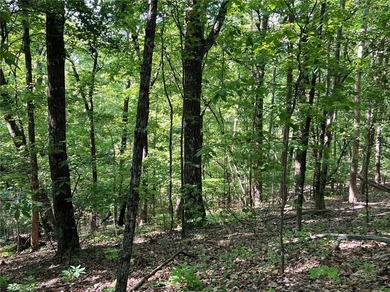 Fantastic easy build 1.16 acre lot located in the Wildcat on Big Canoe Golf Club - Cherokee in Georgia - for sale on GolfHomes.com, golf home, golf lot