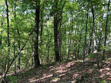 Fantastic easy build 1.16 acre lot located in the Wildcat on Big Canoe Golf Club - Cherokee in Georgia - for sale on GolfHomes.com, golf home, golf lot