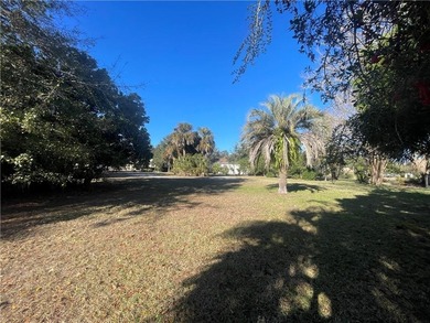 Build your dream home in the highly sought-after gated community on The Club At Osprey Cove in Georgia - for sale on GolfHomes.com, golf home, golf lot