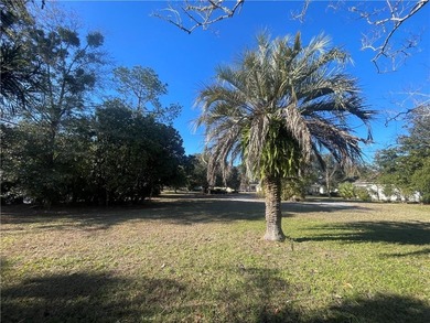 Build your dream home in the highly sought-after gated community on The Club At Osprey Cove in Georgia - for sale on GolfHomes.com, golf home, golf lot