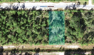 Build your dream home on this half-acre lot in the lake and golf on Indian Lake Estates Golf and Country Club in Florida - for sale on GolfHomes.com, golf home, golf lot