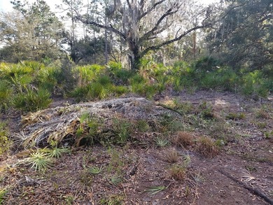 Build your dream home on this half-acre lot in the lake and golf on Indian Lake Estates Golf and Country Club in Florida - for sale on GolfHomes.com, golf home, golf lot