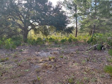 Build your dream home on this half-acre lot in the lake and golf on Indian Lake Estates Golf and Country Club in Florida - for sale on GolfHomes.com, golf home, golf lot