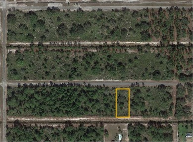 Build your dream home on this half-acre lot in the lake and golf on Indian Lake Estates Golf and Country Club in Florida - for sale on GolfHomes.com, golf home, golf lot