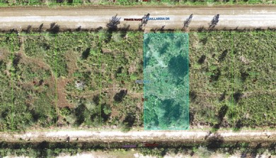 Build your dream home on this half-acre lot in the lake and golf on Indian Lake Estates Golf and Country Club in Florida - for sale on GolfHomes.com, golf home, golf lot