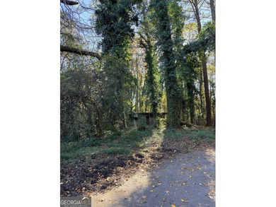 Here's your chance to grab a great lot in one of Atlanta's on Browns Mill Golf Course in Georgia - for sale on GolfHomes.com, golf home, golf lot