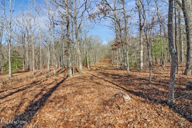 Looking for a warm, inviting home with friendly neighbors, and on Druid Hills Golf Club in Tennessee - for sale on GolfHomes.com, golf home, golf lot