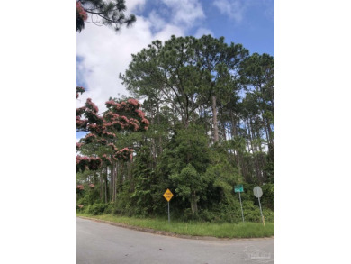 Beautiful 1/2 acre+ homesite across the street from the bay in on Perdido Bay Golf Club in Florida - for sale on GolfHomes.com, golf home, golf lot