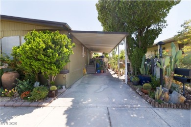 Call Michael Tully at Realty One for questions/showings on Stallion Mountain Golf Course in Nevada - for sale on GolfHomes.com, golf home, golf lot
