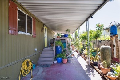 Call Michael Tully at Realty One for questions/showings on Stallion Mountain Golf Course in Nevada - for sale on GolfHomes.com, golf home, golf lot