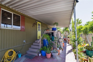 Call Michael Tully at Realty One for questions/showings on Stallion Mountain Golf Course in Nevada - for sale on GolfHomes.com, golf home, golf lot