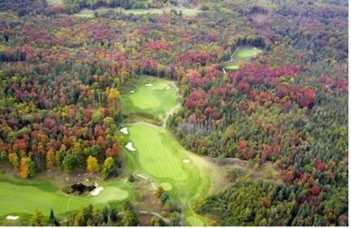 Vacant lot for sale in Woods Cabin Village at the Otsego Resort on The Otsego Club/The Tribute in Michigan - for sale on GolfHomes.com, golf home, golf lot