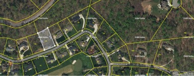 Experience the best of both worlds at the established White on White Plains Golf Course in Tennessee - for sale on GolfHomes.com, golf home, golf lot