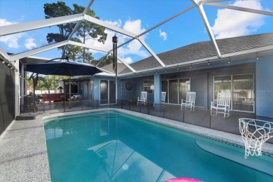 North Port Florida Pool Home with Land, Workshop, and Luxury on Bobcat Trail Golf Club in Florida - for sale on GolfHomes.com, golf home, golf lot