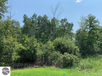 Beautifully wooded potential building site with two side by side on Knoll View Golf Course in Michigan - for sale on GolfHomes.com, golf home, golf lot