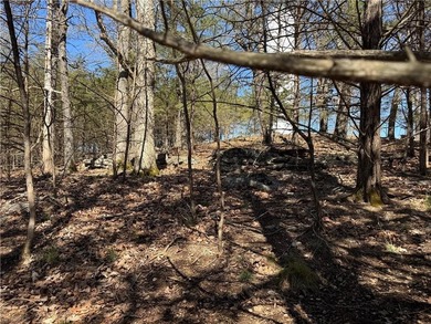 High atop *The Island* on Rocky Top Circle in Holiday Island on Holiday Island Executive Golf Course in Arkansas - for sale on GolfHomes.com, golf home, golf lot