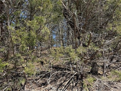 High atop *The Island* on Rocky Top Circle in Holiday Island on Holiday Island Executive Golf Course in Arkansas - for sale on GolfHomes.com, golf home, golf lot