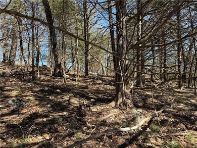 High atop *The Island* on Rocky Top Circle in Holiday Island on Holiday Island Executive Golf Course in Arkansas - for sale on GolfHomes.com, golf home, golf lot