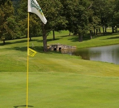High atop *The Island* on Rocky Top Circle in Holiday Island on Holiday Island Executive Golf Course in Arkansas - for sale on GolfHomes.com, golf home, golf lot