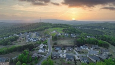 The Wellington with D elevation has turned out to be a top on The Fairways at Laurel Canyon in Georgia - for sale on GolfHomes.com, golf home, golf lot