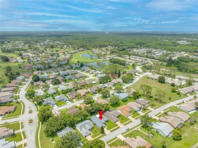 Move In Ready: Beautiful Spacious 3 Bedroom 2 Bath 2 Car Garage on Heritage Pines Country Club in Florida - for sale on GolfHomes.com, golf home, golf lot