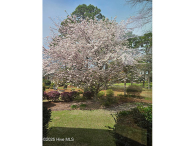 GREAT VALUE in this Architecturally delightful, energy-efficient on Members Club At St. James Plantation in North Carolina - for sale on GolfHomes.com, golf home, golf lot