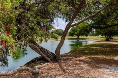 Welcome to 2463 Brazilia Drive, a bright and comfortable on On Top Of The World Golf Course in Florida - for sale on GolfHomes.com, golf home, golf lot