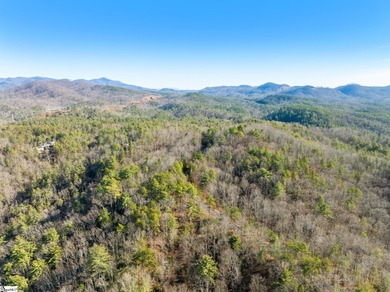 Listed by Kim Crain with Herlong-SIR.  163 Eastatoe Parkway is a on The Reserve At Lake Keowee in South Carolina - for sale on GolfHomes.com, golf home, golf lot