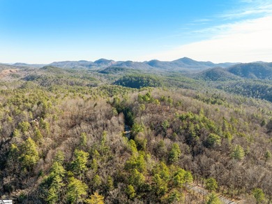 Listed by Kim Crain with Herlong-SIR.  163 Eastatoe Parkway is a on The Reserve At Lake Keowee in South Carolina - for sale on GolfHomes.com, golf home, golf lot