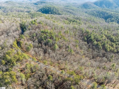 Listed by Kim Crain with Herlong-SIR.  163 Eastatoe Parkway is a on The Reserve At Lake Keowee in South Carolina - for sale on GolfHomes.com, golf home, golf lot