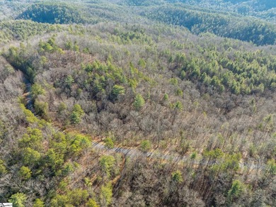 Listed by Kim Crain with Herlong-SIR.  163 Eastatoe Parkway is a on The Reserve At Lake Keowee in South Carolina - for sale on GolfHomes.com, golf home, golf lot