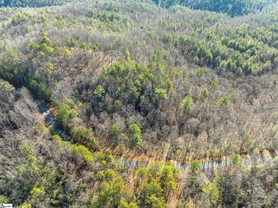 Listed by Kim Crain with Herlong-SIR.  163 Eastatoe Parkway is a on The Reserve At Lake Keowee in South Carolina - for sale on GolfHomes.com, golf home, golf lot