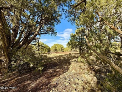 Gorgeous, rare Creekside lot that is level and flat and then on Silver Creek Golf Club in Arizona - for sale on GolfHomes.com, golf home, golf lot