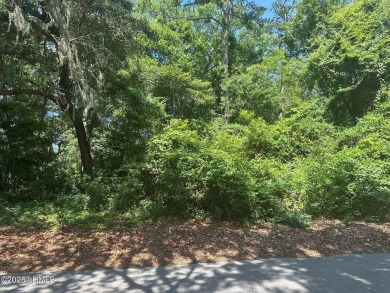 Build your dream home on this beautiful golf course lot on Dataw on Dataw Island Club in South Carolina - for sale on GolfHomes.com, golf home, golf lot