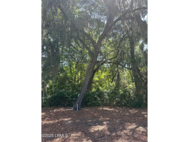 Build your dream home on this beautiful golf course lot on Dataw on Dataw Island Club in South Carolina - for sale on GolfHomes.com, golf home, golf lot