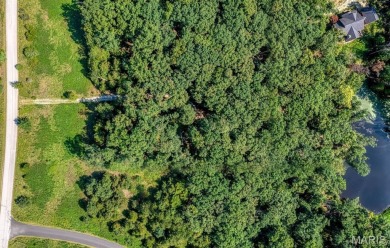 Discover the perfect blend of beauty and tranquility on this on Innsbrook Resort Golf Course in Missouri - for sale on GolfHomes.com, golf home, golf lot