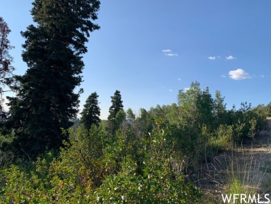 Get away from it all at this beautiful 1.06 acre lot with some on Skyline Mountain Resort and Golf Course in Utah - for sale on GolfHomes.com, golf home, golf lot