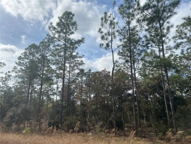 1/4 ACRE BUILDING LOT. Set on a quiet street in the Williston on Williston Highlands Golf and Country Club in Florida - for sale on GolfHomes.com, golf home, golf lot