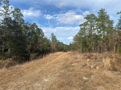 1/4 ACRE BUILDING LOT. Set on a quiet street in the Williston on Williston Highlands Golf and Country Club in Florida - for sale on GolfHomes.com, golf home, golf lot