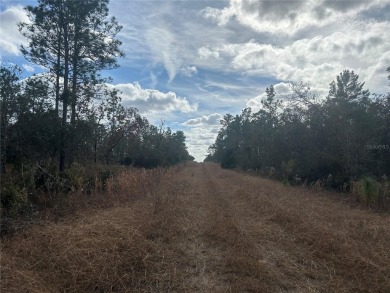 1/4 ACRE BUILDING LOT. Set on a quiet street in the Williston on Williston Highlands Golf and Country Club in Florida - for sale on GolfHomes.com, golf home, golf lot