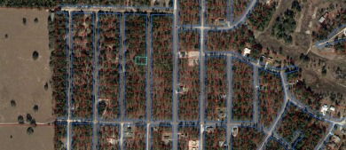 1/4 ACRE BUILDING LOT. Set on a quiet street in the Williston on Williston Highlands Golf and Country Club in Florida - for sale on GolfHomes.com, golf home, golf lot