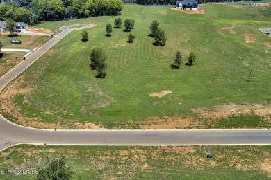 Discover the essence of serene living in this exceptional on Tennessee National Golf Club in Tennessee - for sale on GolfHomes.com, golf home, golf lot