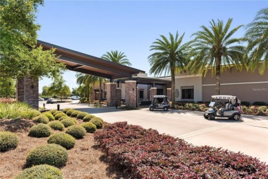 Minutes to WEC/HITS- Welcome to Ocala Preserve, where luxury on Trilogy at Ocala Preserve in Florida - for sale on GolfHomes.com, golf home, golf lot