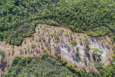Are you ready to build your own private compound? This is a 4.91 on Members Club At St. James Plantation in North Carolina - for sale on GolfHomes.com, golf home, golf lot