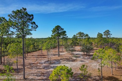 Are you ready to build your own private compound? This is a 4.91 on Members Club At St. James Plantation in North Carolina - for sale on GolfHomes.com, golf home, golf lot