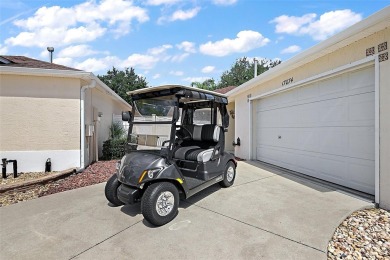WONDERFUL, TURNKEY, BLOCK and STUCCO 2/2 Woodlawn Courtyard on The Links of Spruce Creek in Florida - for sale on GolfHomes.com, golf home, golf lot