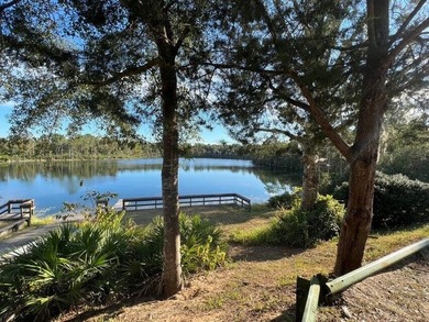 Looking to build a home in a community with a golf course on Sunny Hills Golf and Country Club in Florida - for sale on GolfHomes.com, golf home, golf lot