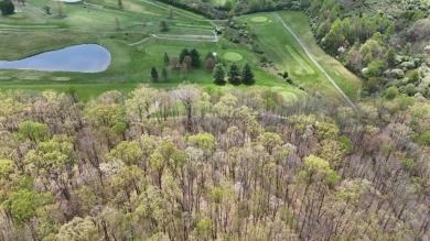 Discover a rare opportunity to own 11.13 acres of gently rolling on Bridge Haven Golf Club in West Virginia - for sale on GolfHomes.com, golf home, golf lot