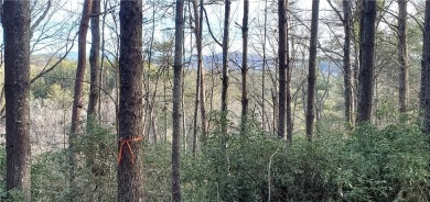 Don't miss this opportunity to build your dream home in the on The Cliffs At Keowee Vineyards Golf Club in South Carolina - for sale on GolfHomes.com, golf home, golf lot
