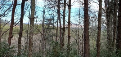 Don't miss this opportunity to build your dream home in the on The Cliffs At Keowee Vineyards Golf Club in South Carolina - for sale on GolfHomes.com, golf home, golf lot